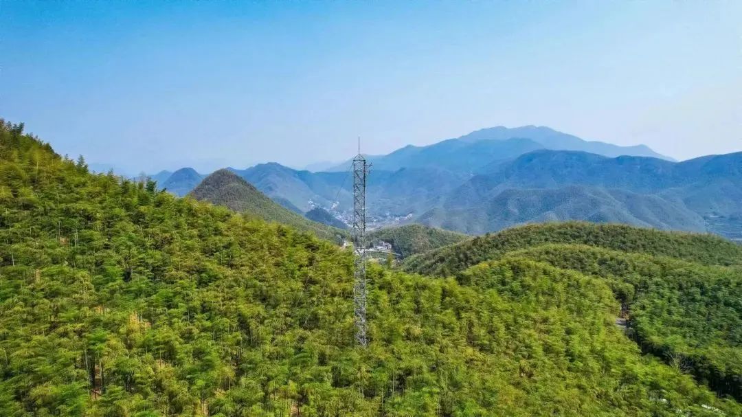 1690255488116784.jpg 640-2.jpg